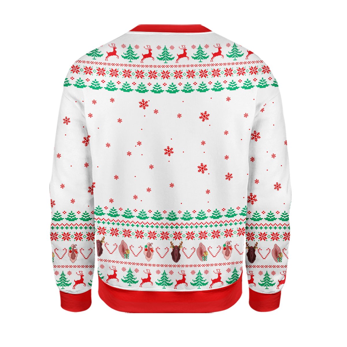 Back view of the adult humor ugly Christmas sweater with multicolor accents
